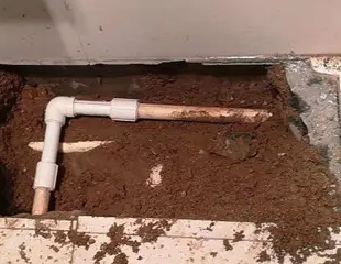 普洱测漏水哪家好