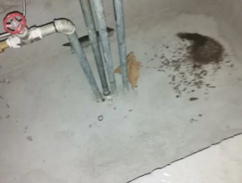 普洱卫生间测漏水价格明细