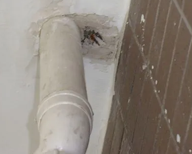 普洱漏水检测哪家好